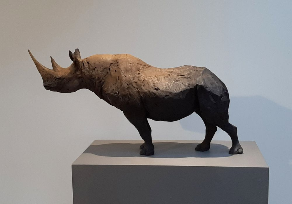 Still Rhino Bronze 62cm l x 31cm h by Nichola Theakston